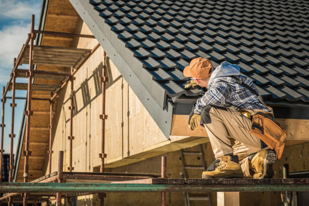 Best Roofing Contractor Near Me  in Dover, TN
