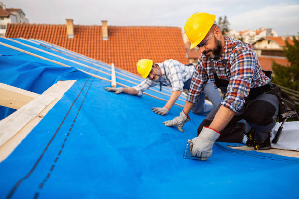 Best Residential Roofing Contractor  in Dover, TN