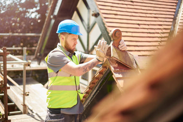 Best Roof Leak Repair  in Dover, TN