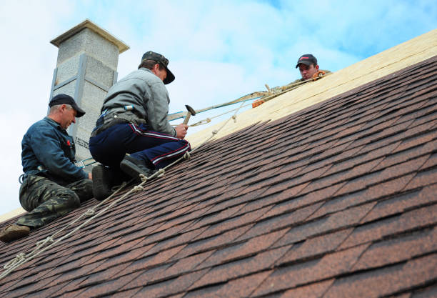 Roof Gutter Cleaning in Dover, TN